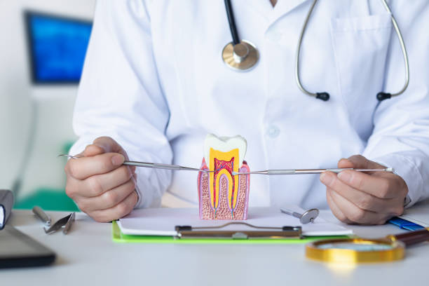 Best Dentist Open Late Near Me  in Logan Elm Village, OH
